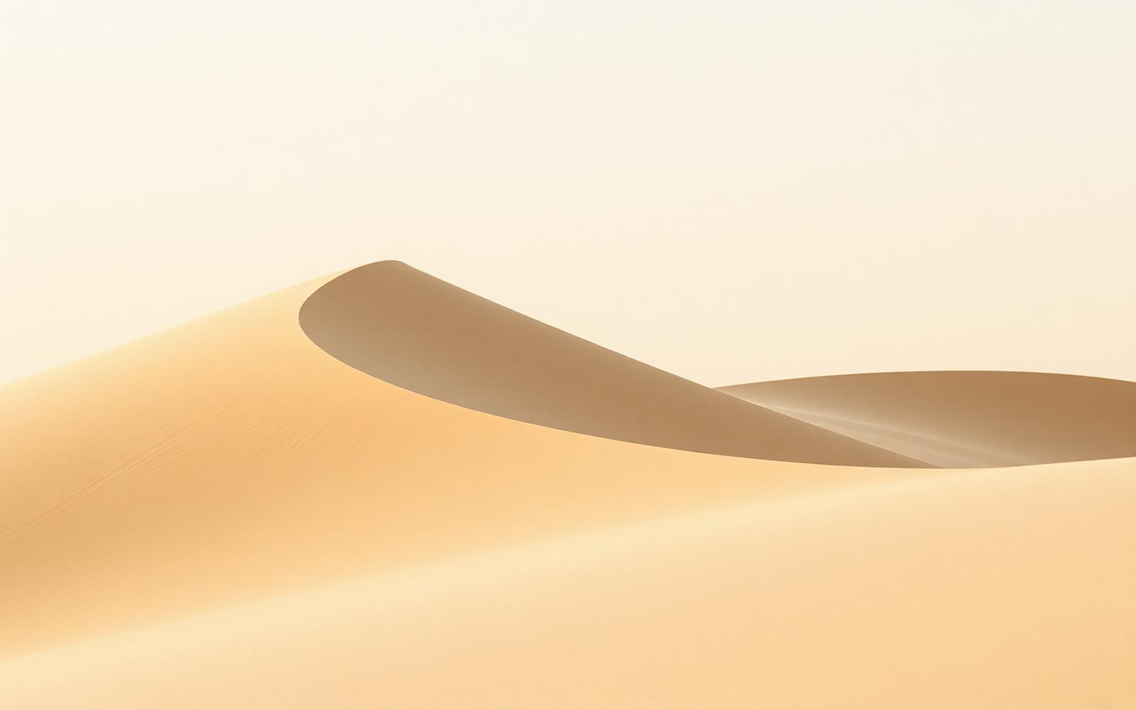 Wind-carved sand dune ridgeline at golden hour