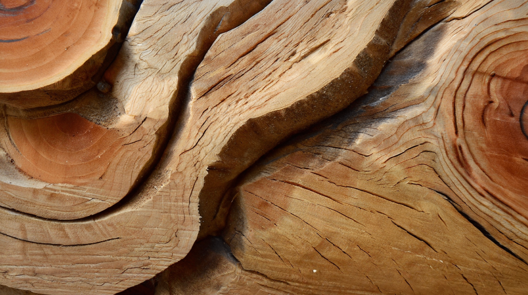 Close weathered wood grain with rings and knots